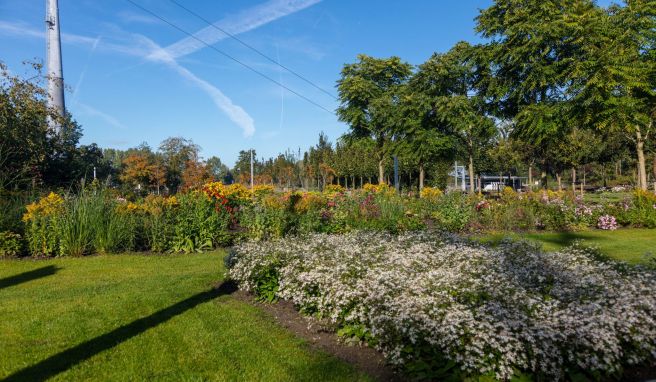 Das Arboretum ist die grüne Basis der Floriade - eine Pflanzen-Bibliothek voller Gerüche und Farben.