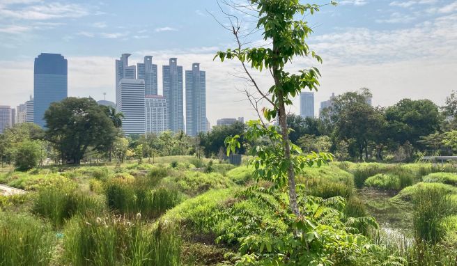 Bangkok wird mit Benjakitti-Park grüner