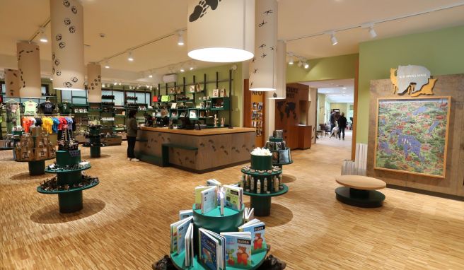 Blick ins Besucherzentrum des Bärenwalds - die Anlage ist eine beliebte Touristenattraktion an der Seenplatte.