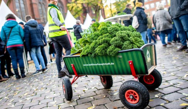 Mit Bollerwagen und «Oldenburger Palme»: So mit einem ordentlichen Gemüsevorrat beladen geht es in Oldenburg, hier auf dem Rathausmarkt, auf Grünkohltour.