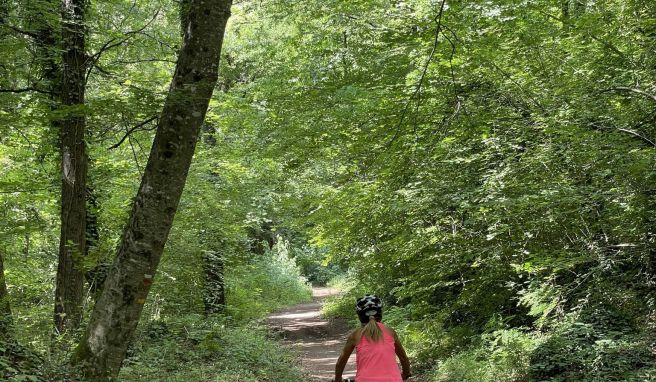 Durch den Buchenwald La Fageda d\'en Jordà geht es von Santa Pau nach Olot.