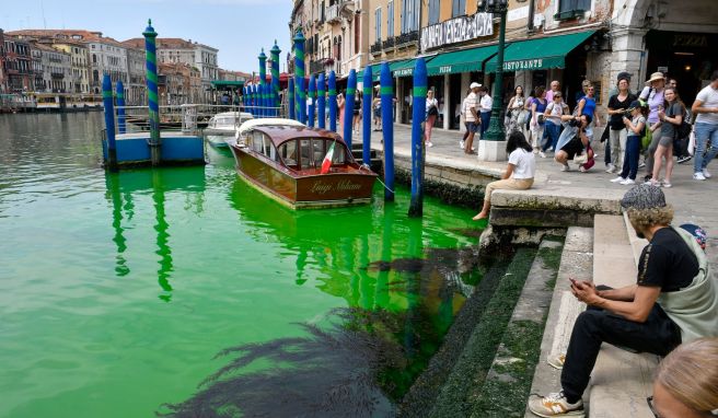 Canal Grande in Venedig leuchtet grün
