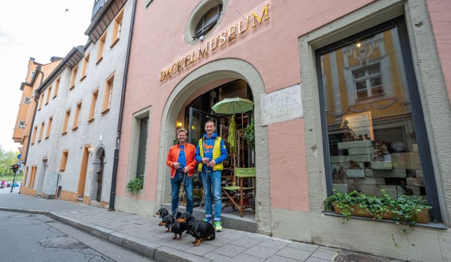 Das Dackelmuseum feiert Neustart in Regensburg