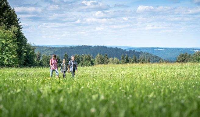 Der Auerhahnweg ist eine mittelschwere Tour.