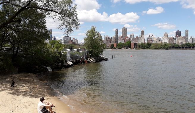 Blick auf die Upper Eastside: Der Socrates Sculpture Park in Astoria liegt direkt am East River.