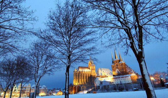 Der Dom (links) und die Severikirche auf dem Domberg erstrahlen zur «Blauen Stunde» im winterlichen Erfurt.