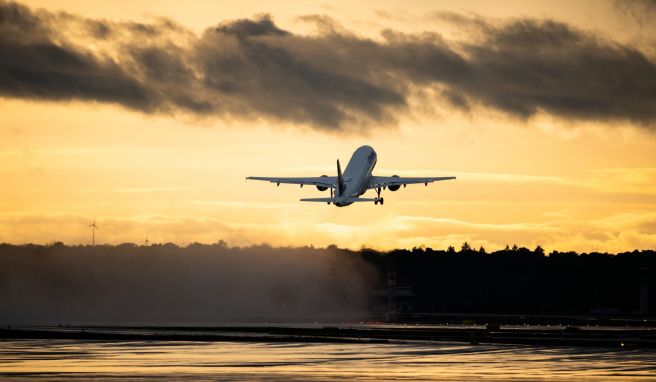 Flugreisen: Durch CO2-Kompensation freikaufen?