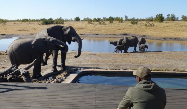 Im Somalisa-Camp haben Elefanten einen Pool für sich in Anspruch genommen - für die Gäste wurde kurzerhand ein neuer gebaut.