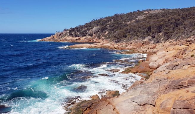 Zwischen Braun und Rostrot changieren die Farben der Klippen am Friendly Beach.