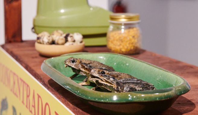 Berliner Ausstellung feiert ekliges Essen