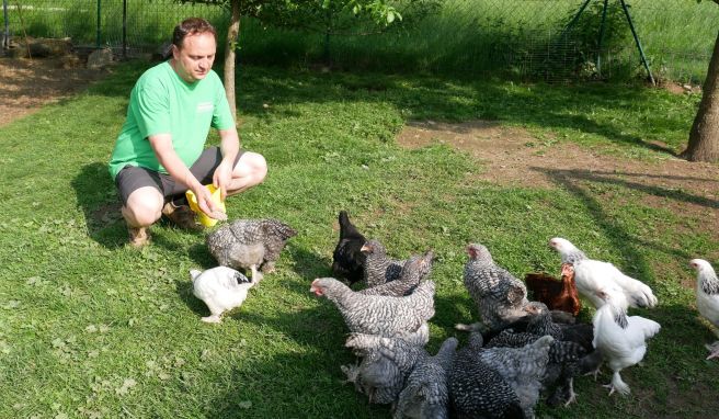 Im Berufleben ist Jörg Bertholdt Betriebswirt, in der Freizeit engagiert er sich in der Zucht gefährdeter Haustierrasen - unter anderem hat er Sundheimer Hühner und Deutsche Reichshühner.