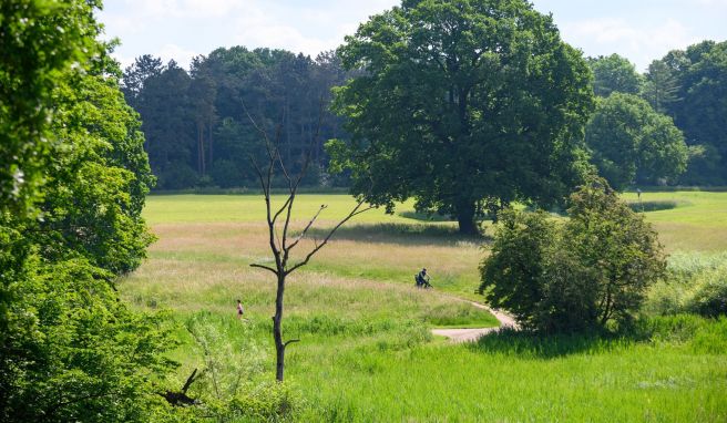 Loki Schmidt Stiftung lädt zum «Langen Tag der StadtNatur»