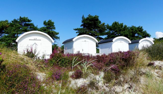 Taugt fast zum Postkartenmotiv: Strandhäuschen und Dünen auf der Halbinsel Falsterbo.