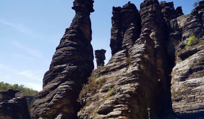Rund um die Herkulessäulen im Bielatal in der Sächsischen Schweiz erwartet Wanderer eine bizarre Felswelt.