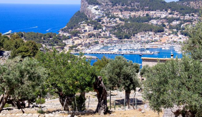Das Hinterland auf Mallorca: Vom Familien-Hotel Muleta de Ca S\'Hereu hat man wunderschöne Panormablicke auf Olivenhaine und den Hafen Port.