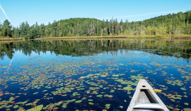Mit dem Kanu über Seen: Outdoor-Aktivitäten werden im Haliburton Forest groß geschrieben.