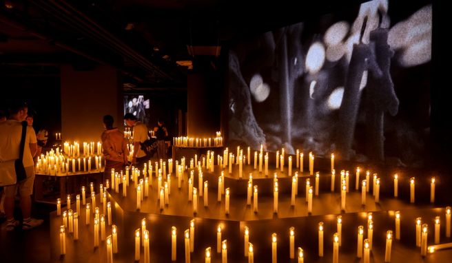 Mozart und Medizin - Neues für Touristen in Wien