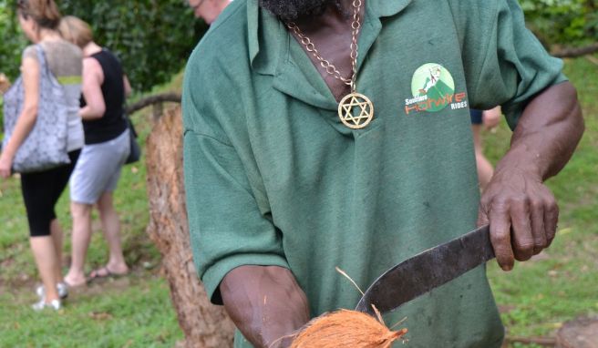 Frisch aufgeschlagene Kokosnüsse gibt es beinahe überall auf Jamaika.