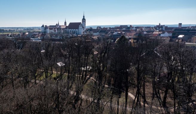 Blick über den Stadtpark, Teil der kommenden Landesgartenschau in Torgau.