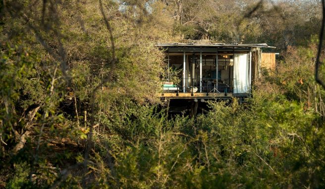 Nachhaltig im Dickicht errichtet: Auch bei der Lodge «Singita Sweni» wurde auf internationale Importe von Baumaterial oder Möbeln verzichtet.