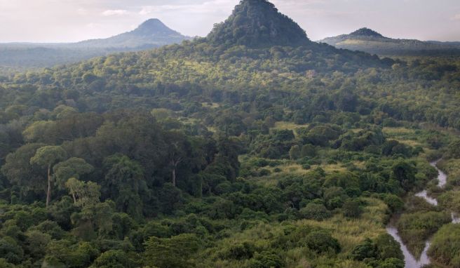 Die Gipfel des Mount Gorongosa Massivs sind die weithin sichtbaren Landmarken des Nationalparks.