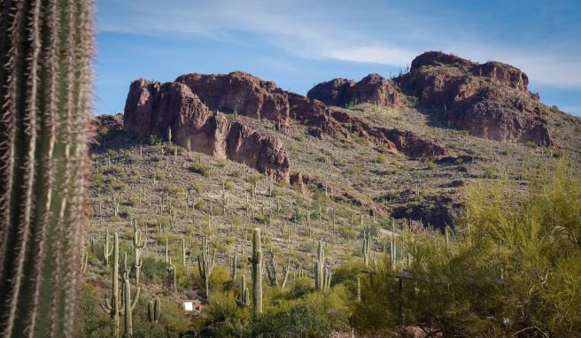Natur in Arizona und Weinkultur im Burgund