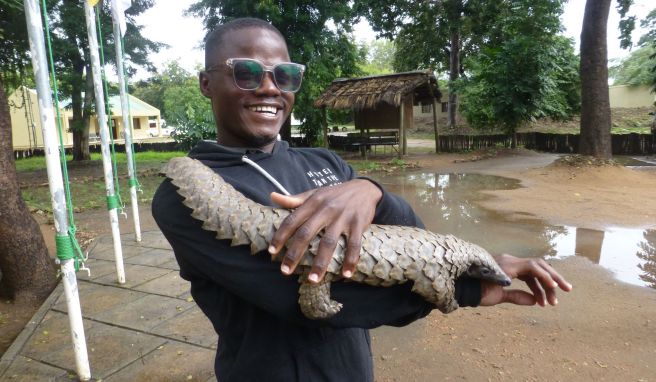 In einer Pflegestation im Park werden verwaiste oder verletzte Schuppentiere aufgepäppelt.