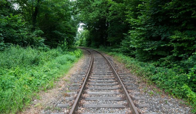 Reaktivierung von Bahnstrecken: Warum geht es kaum voran?