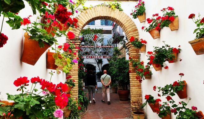 Die Patios von Córdoba: Andalusiens lauschige Innenhöfe