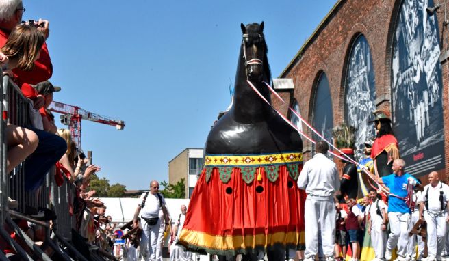 In einer kleinen belgischen Gemeinde namens Dendermonde finden die letzten Trainingseinheiten vor der großen Parade am kommenden Sonntag statt.