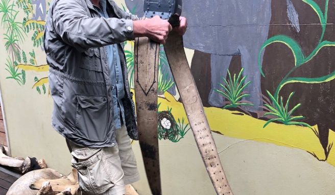 Solche Tracking-Halsbänder bekommen etwa Elefanten umgelegt, \ndamit die Ranger immer deren Standort kennen.