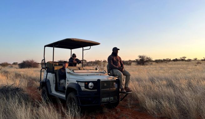 Schrumpfkur in der Savanne: Im Tswalu-Reservat bricht man zu Safaris mittlerweile in kleineren, verbrauchsgünstigeren Geländewagen auf. E-Autos kommen hier noch an Grenzen.
