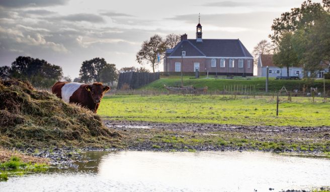Die einst versunkene Insel Schokland ist nur 60 Kilometer von Almere entfernt - ein Ausflug lohnt sich.