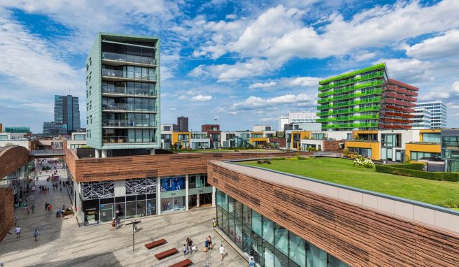 Das Stadtzentrum aus der Feder des niederländischen Stararchitekten Rem Koolhaas ist fast autofrei - die Parkplätze und Straßen liegen unter der Oberfläche.