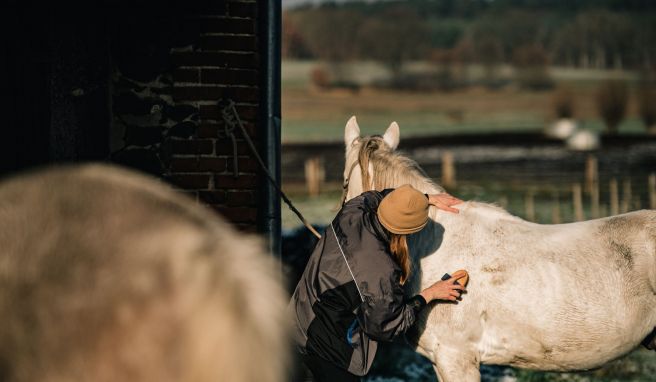 A generic square placeholder image with rounded corners in a figure.