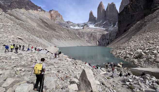 Im Torres del Paine sorgen Pumas für Adrenalinschübe