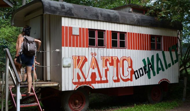 Im Bärenwald wird über das Elend vieler Bären aufgeklärt - in solch engen Käfigwagen waren auch manche der Tiere des Geheges früher eingepfercht.