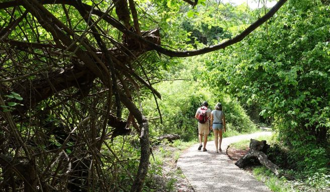 Rund um die Victoriafälle führen Wege zu verschiedenen Aussichtspunkten.