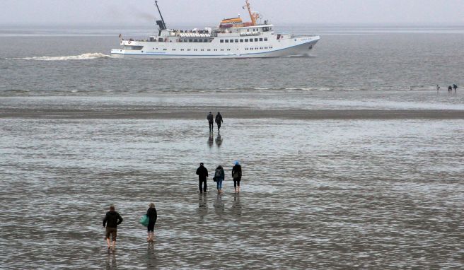 Wattwanderer sind bei Ebbe an der Küste unterwegs, im Hintergrund fährt das Ausflugsschiff «Funny Girl» nach Helgoland.