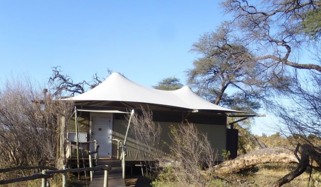 Zelt im Somalisa-Camp: Hier übernachtet man mitten in der Wildnis.