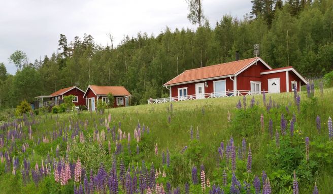 Gratis-Übernachtung in schwedischen Hütten