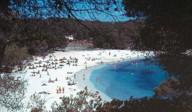 Gut besuchter Strand auf Mallorca.##Foto: flickr.com Thomas Tolkien Gut besuchter Strand auf Mallorca.