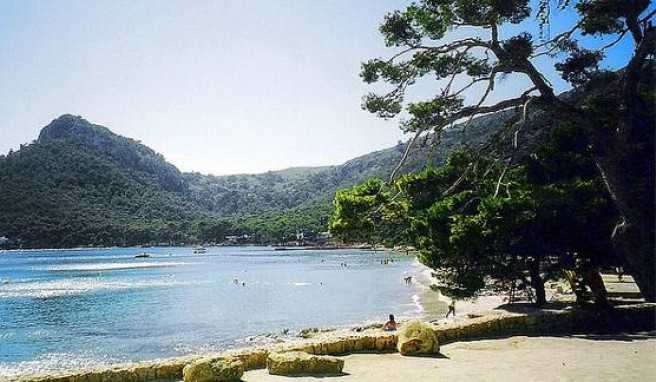 Dicht bewaldet der Platja de Formentor.##Foto: flickr.com Jaume Mensos Dicht bewaldet der Platja de Formentor.