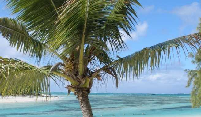 Ile aux Cerfs - Einfahrt zur Lagune.##Foto: Jörg P. Ile aux Cerfs - Einfahrt zur Lagune.