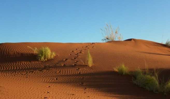 Spuren im Sand, beim Sundowner.