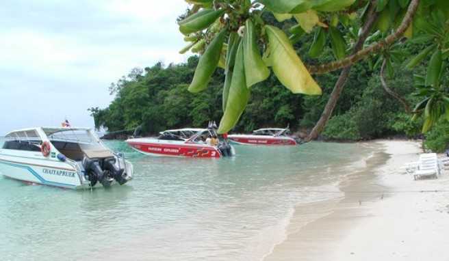 Am Loh Moo Dee Beach in Thailand (Phi Phi Island).