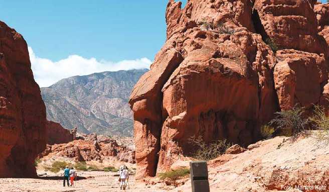 Atemberaubende Landschaft in der Muschelschlucht. Auf Lamas trifft man allerorten