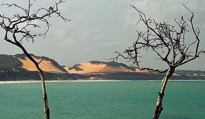 Pipa in Rio Grande do Norte, Brasiliens Familienbad mit sanften Wellen und schönen Dünen##Foto: Wikimedia Commons, Helder da Rocha Pipa in Rio Grande do Norte, Brasiliens Familienbad mit sanften Wellen und schönen Dünen