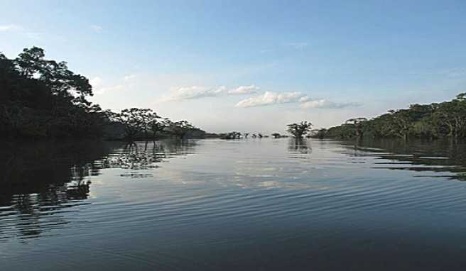 Reisen im Naturreservat von Cuyabeno in Ecuador