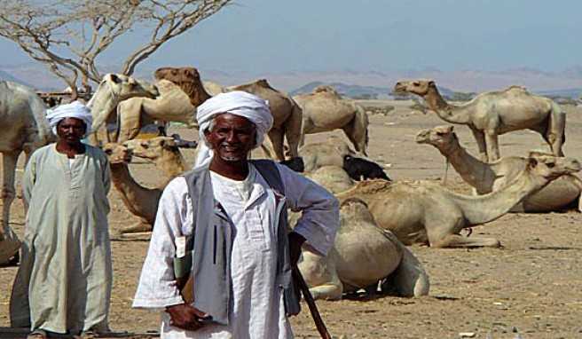 Unter Beduinen ist man beim Kamelmarkt in Shalatin im äußersten Süden von Ägypten.##Foto: Wikimedia Commons, Klaus Polak Unter Beduinen ist man beim Kamelmarkt in Shalatin im äußersten Süden von Ägypten